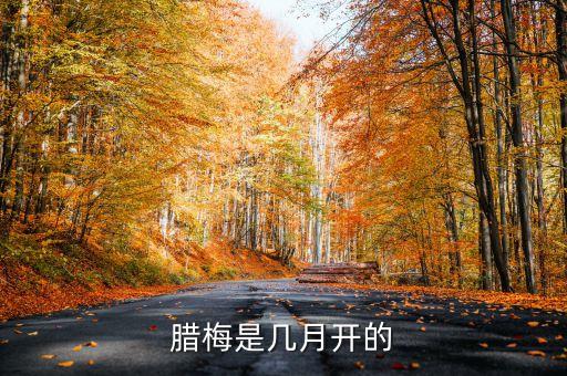腊梅是几月开的
