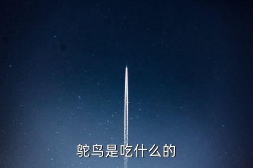 鸵鸟是吃什么的