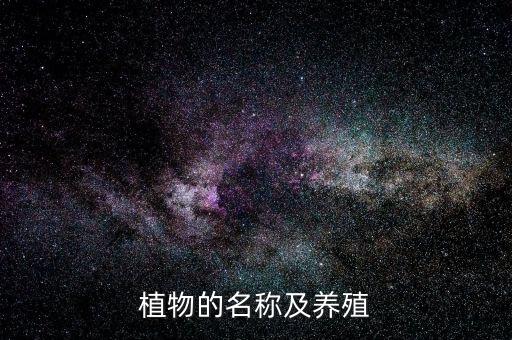绿植图片，帮忙看看这些什么植物