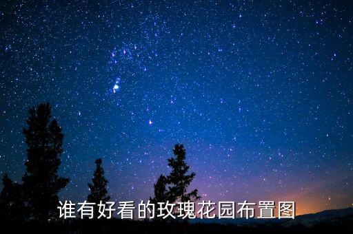 谁有好看的玫瑰花园布置图