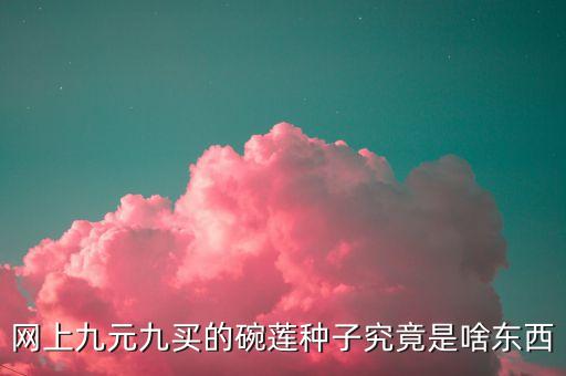 碗莲种子，网上九元九买的碗莲种子究竟是啥东西