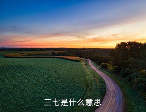三七是什么意思，三七是什么意思