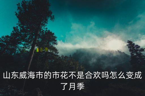 山东威海市的市花不是合欢吗怎么变成了月季