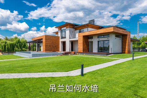 水培吊兰，吊兰如何水培