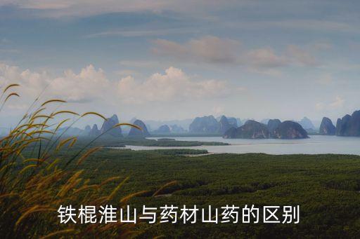 铁棍淮山与药材山药的区别