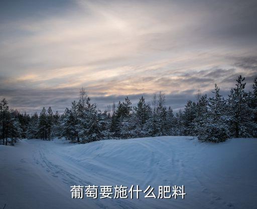 葡萄要施什么肥料