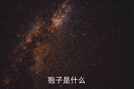 狍子，狍子是什么动物