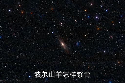 山羊配种，波尔山羊怎样交配