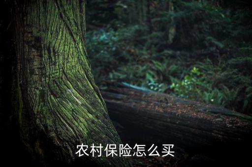 农村保险怎么买