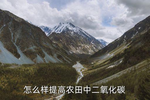 农业怎么实现双碳目标，怎么样提高农田中二氧化碳