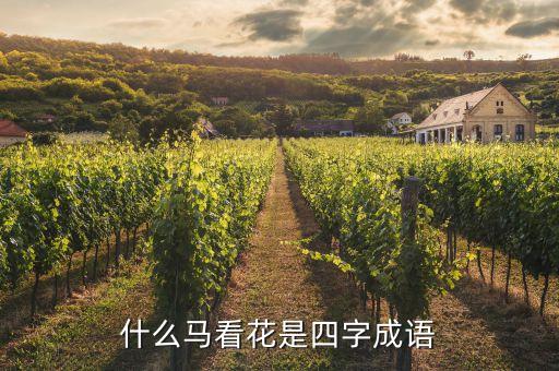 什么马看花是四字成语