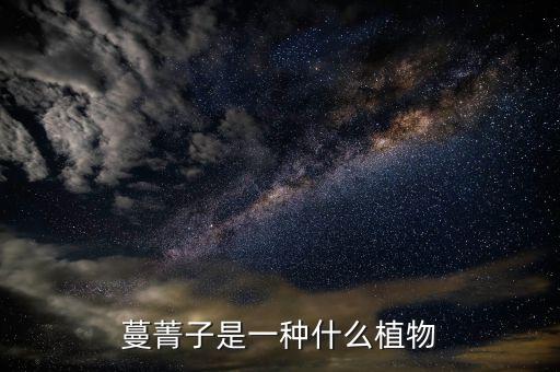 蔓菁子是一种什么植物