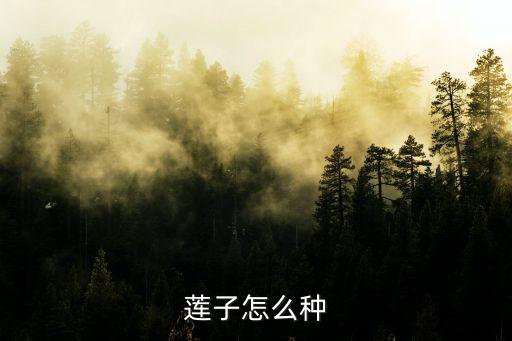 莲子怎么种植，如何播种莲子