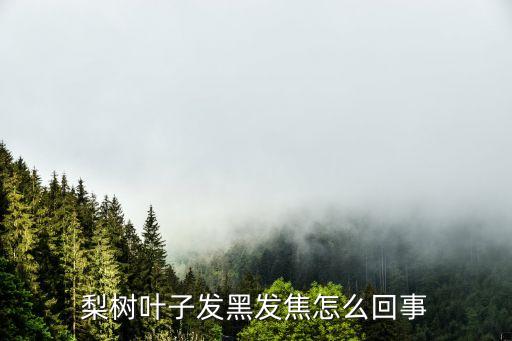 梨树叶子，梨树的叶子是什么样子的
