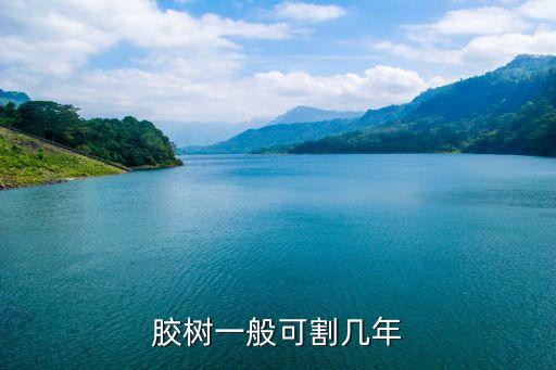 胶树一般可割几年