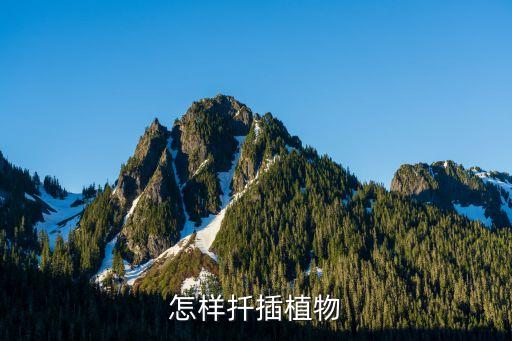 扦插，什么叫扦插和嫁接有什么区别
