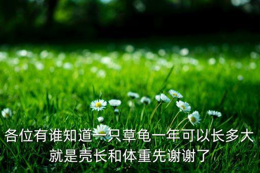 中华草龟能长多大，各位有谁知道一只草龟一年可以长多大就是壳长和体重先谢谢了