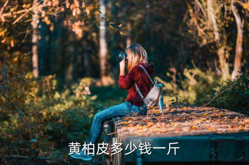 黄柏皮多少钱一斤