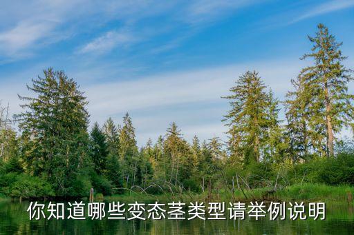 变态茎，什么是麒麟掌的变态茎变态茎是新长的还是老茎