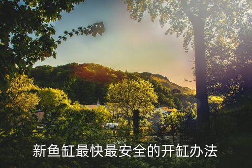 开缸养水教程，新鱼缸最快最安全的开缸办法