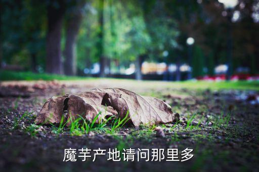 魔芋产地请问那里多