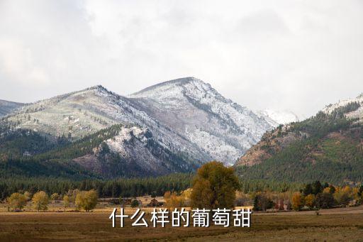 葡萄的图片，什么样的葡萄甜
