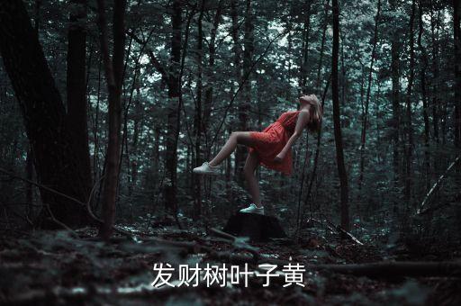 发财树黄叶，发财树黄叶怎麽回事