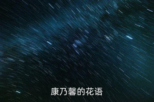 康乃馨的花语