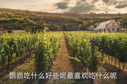 文鸟吃什么，鹦鹉吃什么好些呢最喜欢吃什么呢