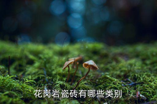 花岗岩瓷砖有哪些类别