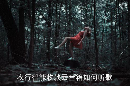 农行智能收款云音箱如何听歌