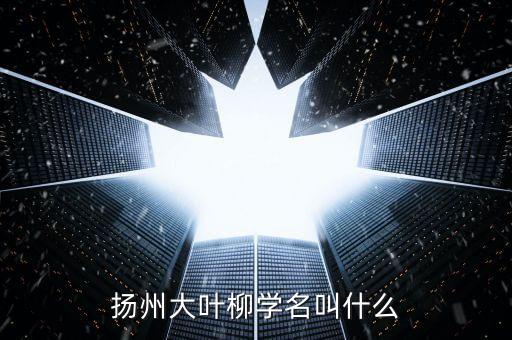 扬州大叶柳学名叫什么