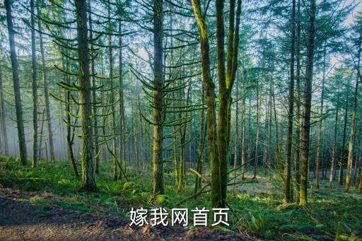 嫁我网首页