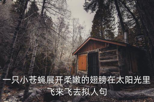 小苍蝇，怎样才能对付苍蝇