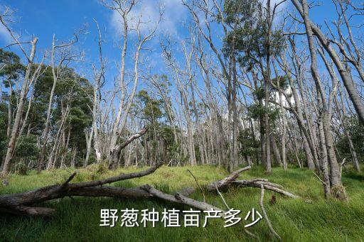 野葱，野葱和家葱有什么区别