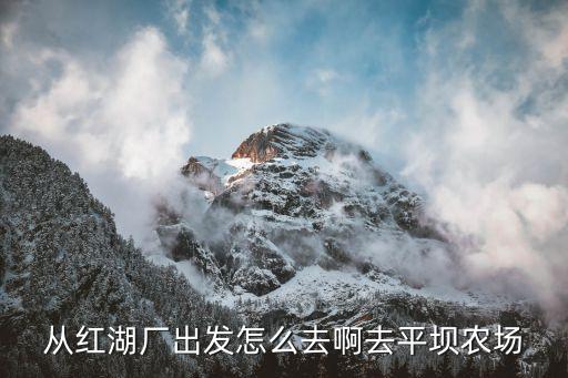 平坝农场，贵州平坝县到平坝农场有几公里