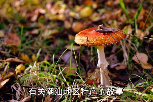 贡菜长什么样子，谁有贡菜的图片