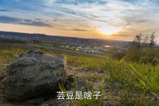 芸豆，芸豆是啥子