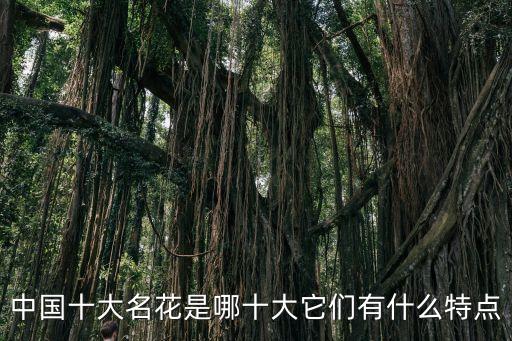 中国花卉，中国十大名花