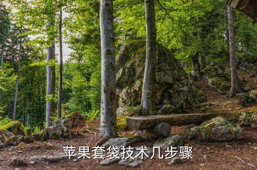 苹果套袋，苹果套袋技术几步骤