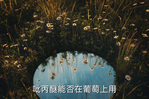 吡丙醚能否在葡萄上用