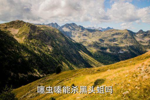 噻虫嗪能杀黑头蛆吗