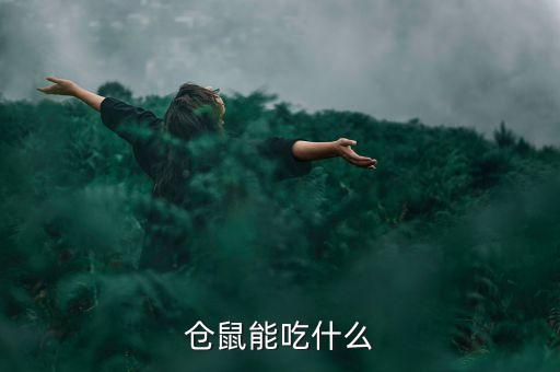 仓鼠能吃什么
