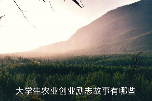 大学生农业创业励志故事有哪些