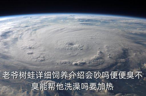 老爷树蛙详细饲养介绍会吵吗便便臭不臭能帮他洗澡吗要加热