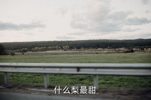 什么梨最甜