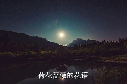 荷花蔷薇的花语