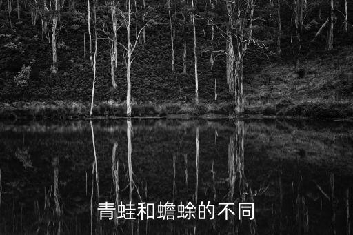 青蛙和蟾蜍的区别，蟾蜍与青蛙有什么区别
