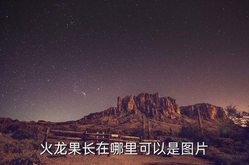 火龙果树图片，火龙果长在哪里可以是图片