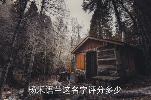 杨禾语兰这名字评分多少
